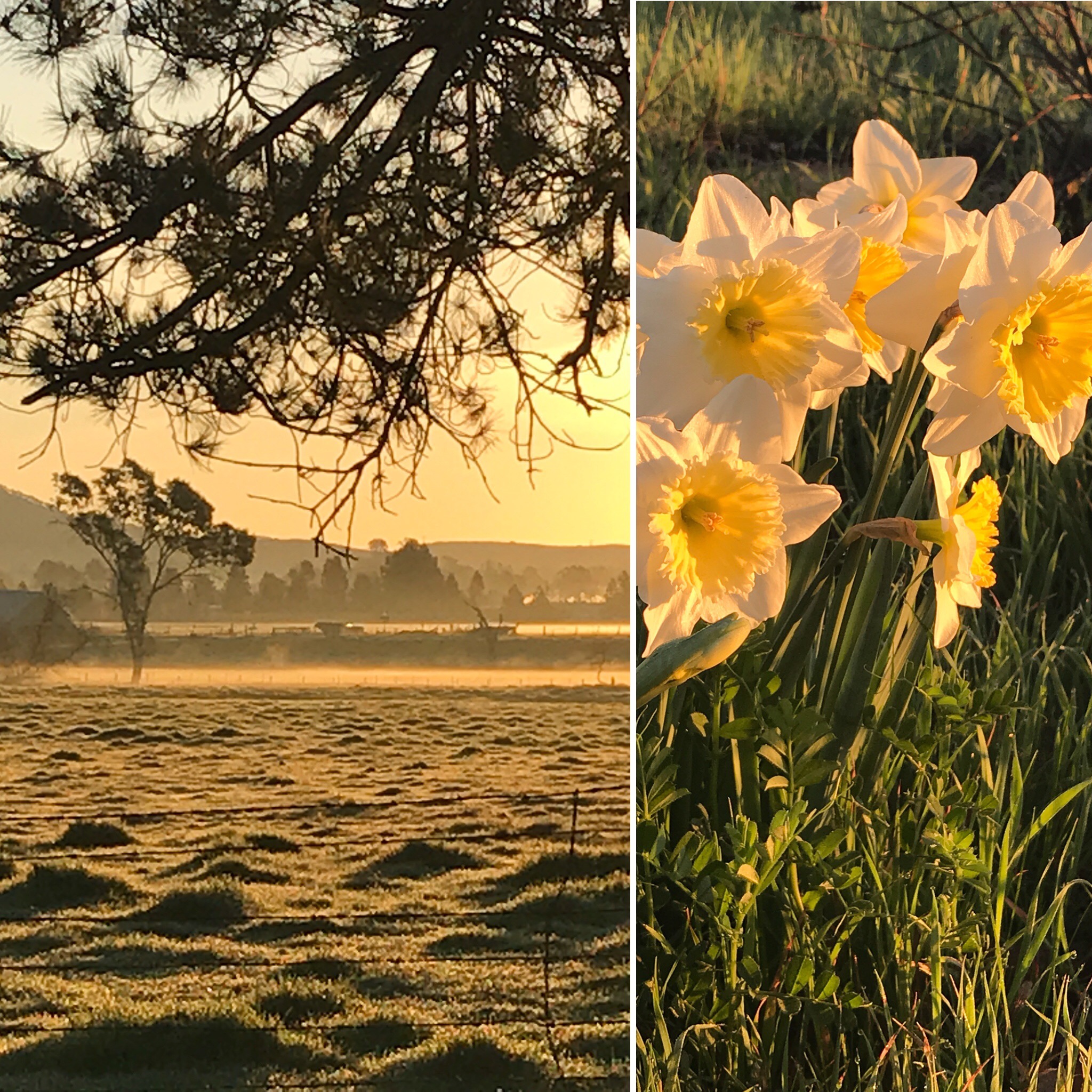 Sonoma Valley Nature