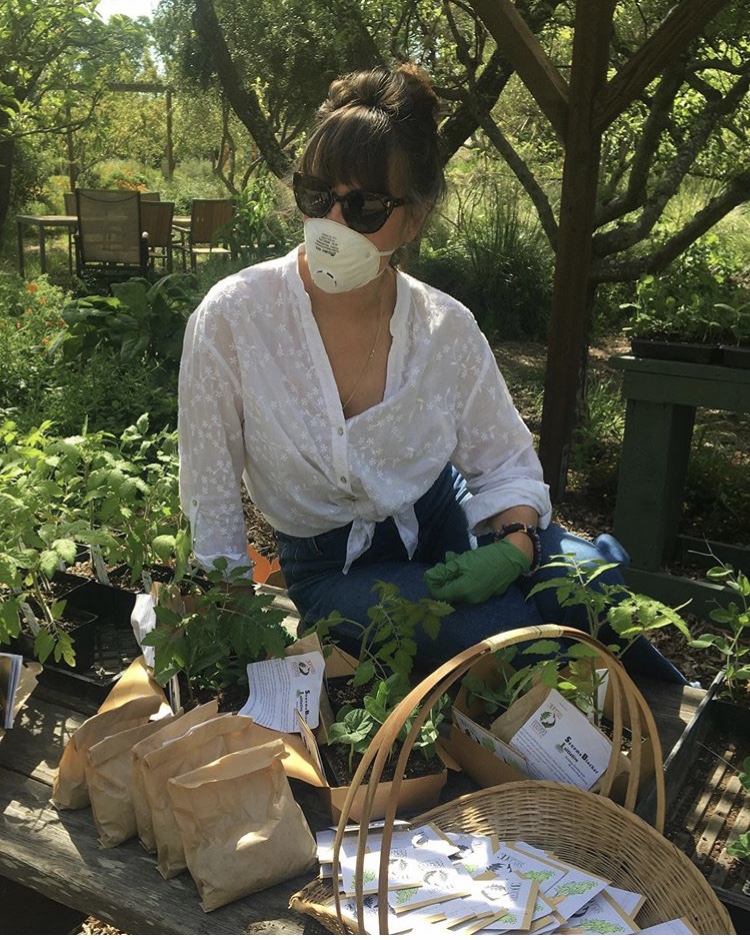 Victory Gardens in Sonoma Valley