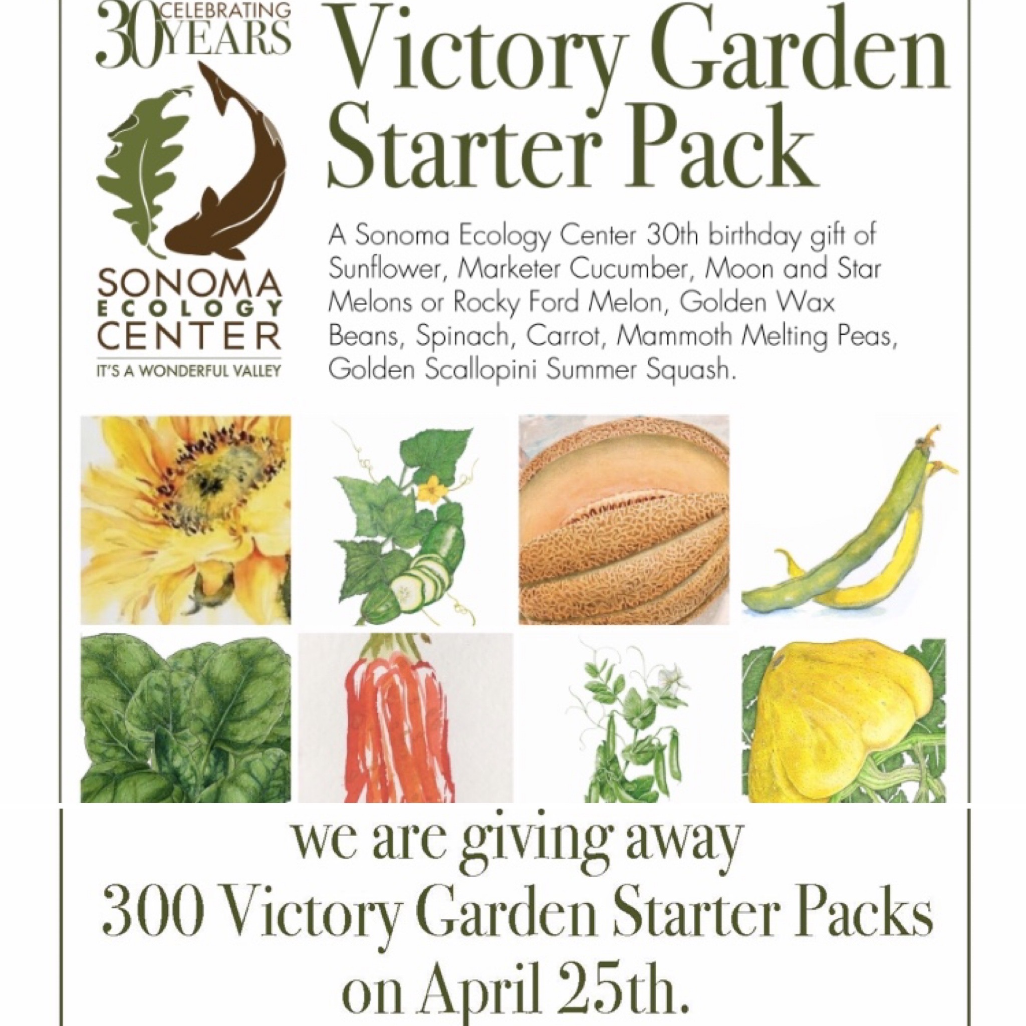 Victory Gardens Starter Pack