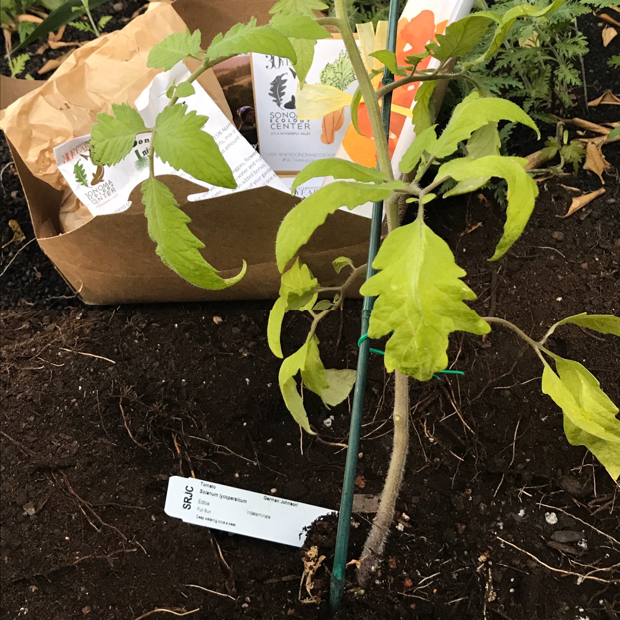 Planting Victory Gardens