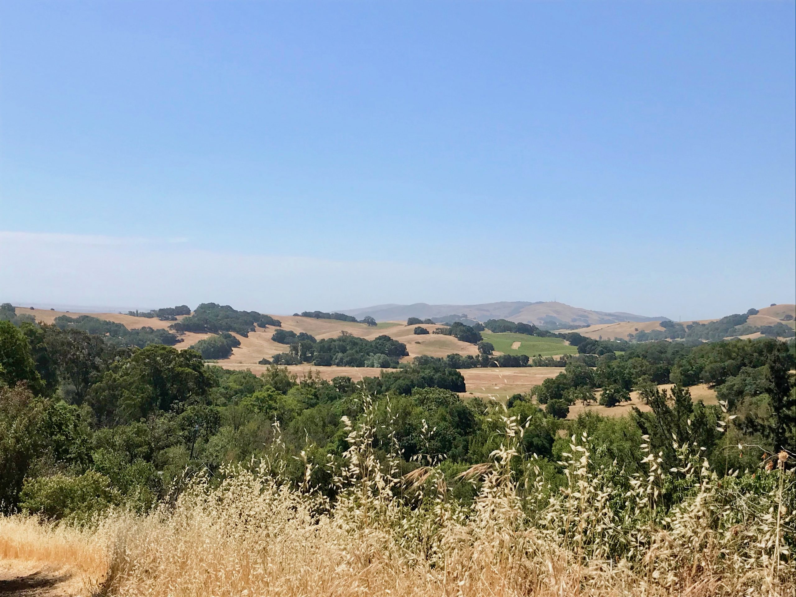 Sonoma Valley