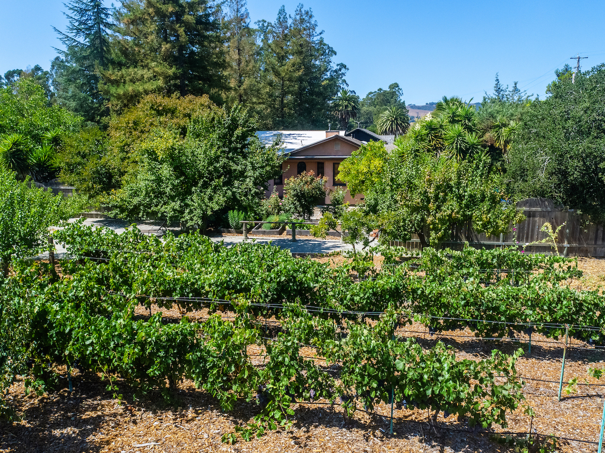 Sonoma Valley