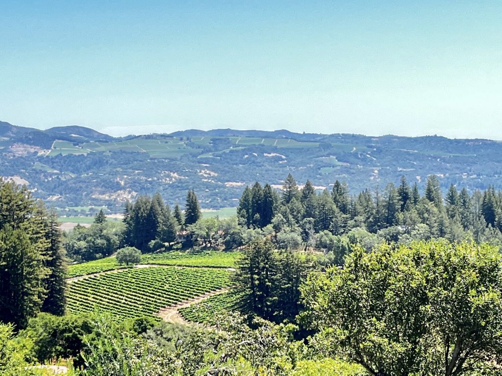 Homes for sale in the Sonoma Valley hills