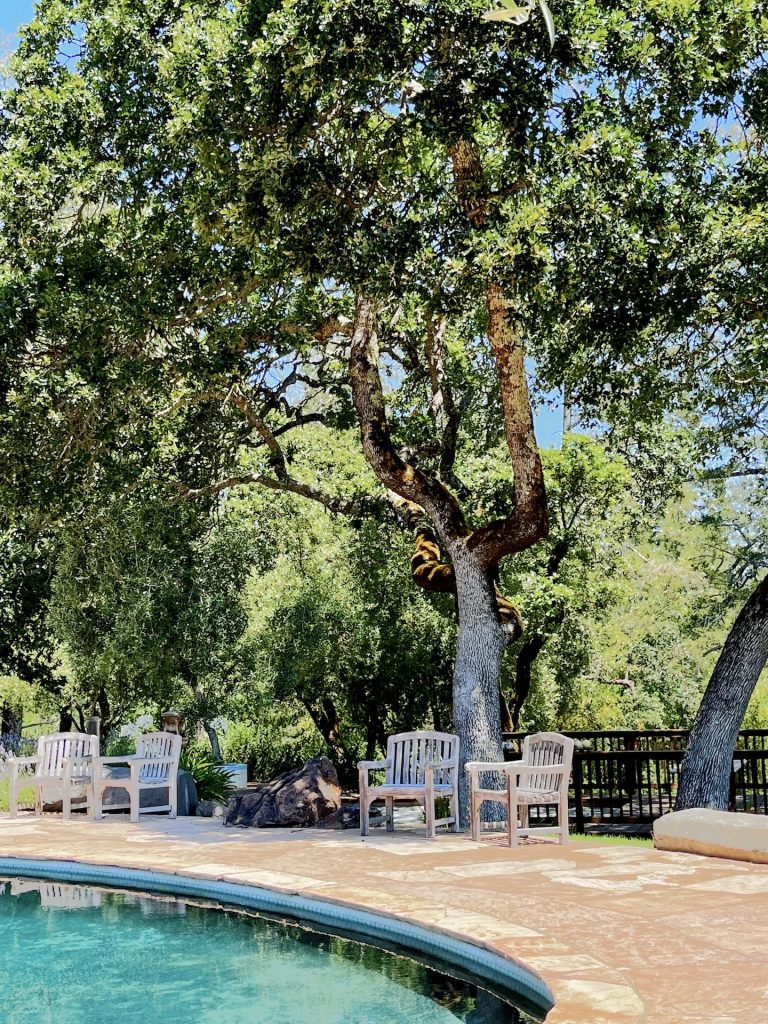 Homes with a pool in Sonoma Valley