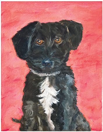 Consignment Pet Portraits