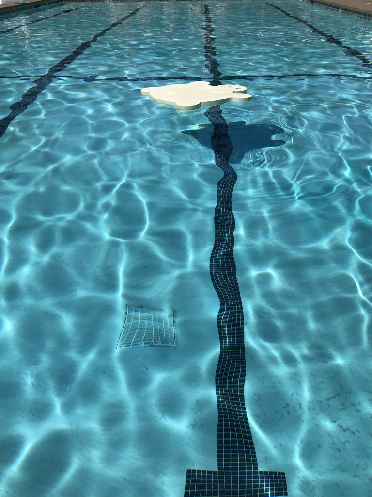 Swim Sonoma