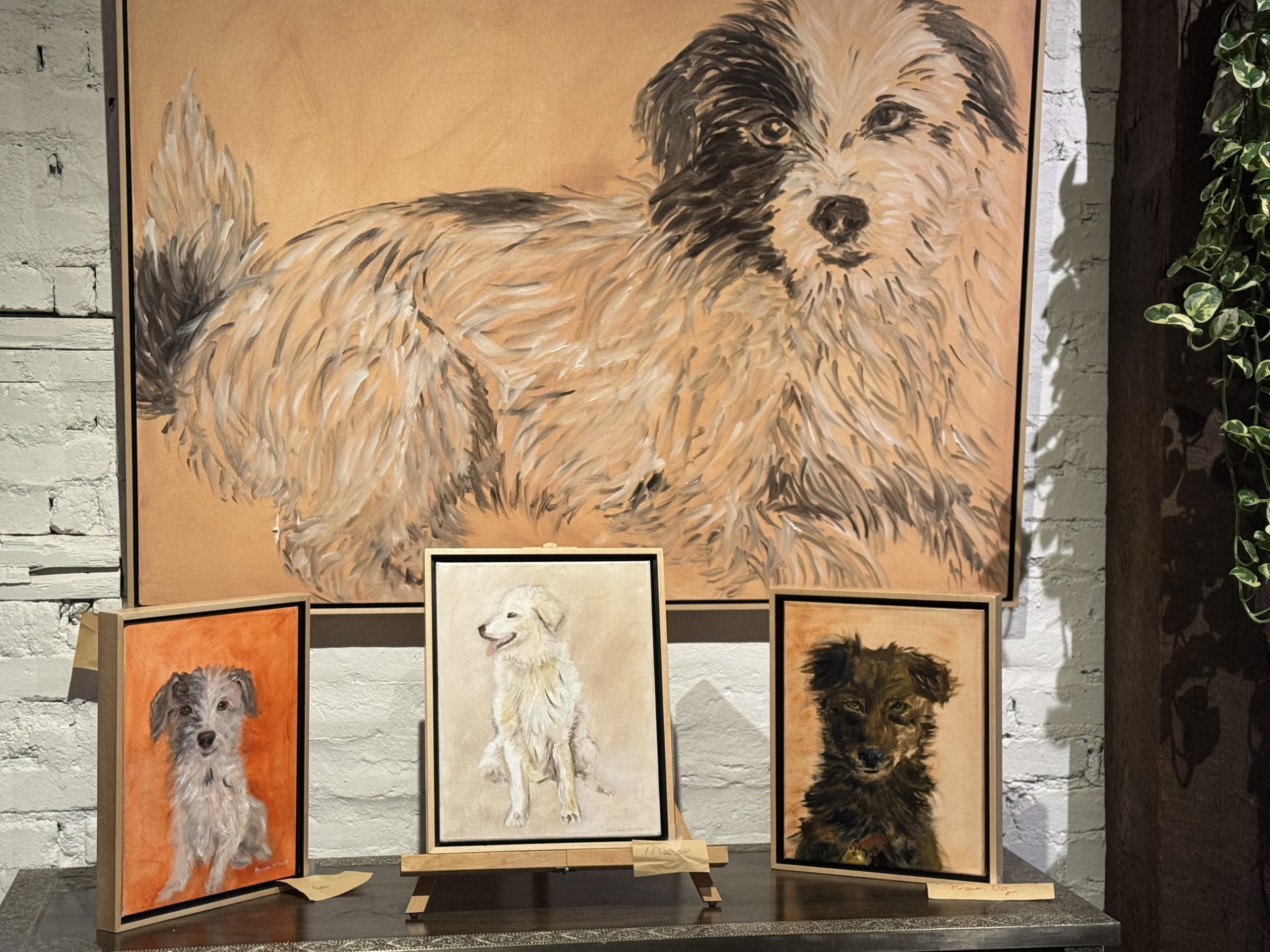 Pet Shelters Sonoma