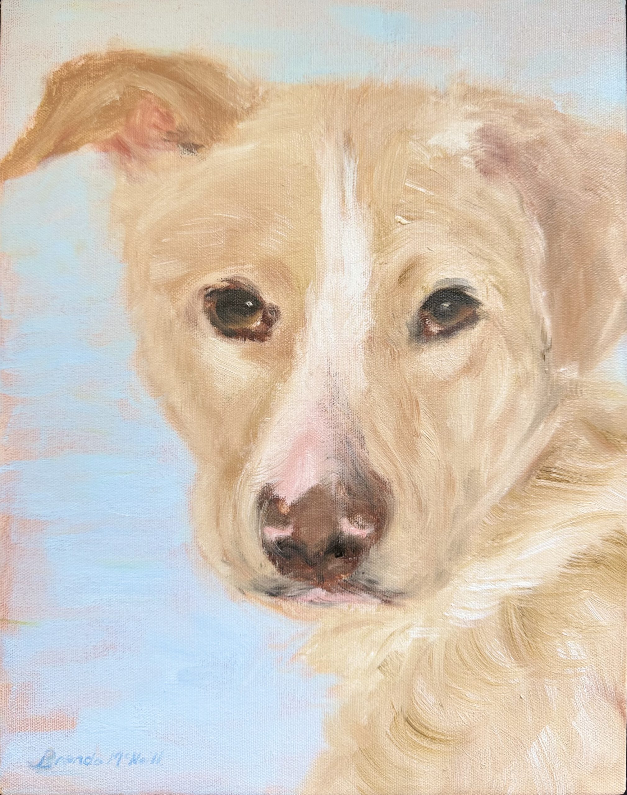 Dog adoption at Pets Lifeline