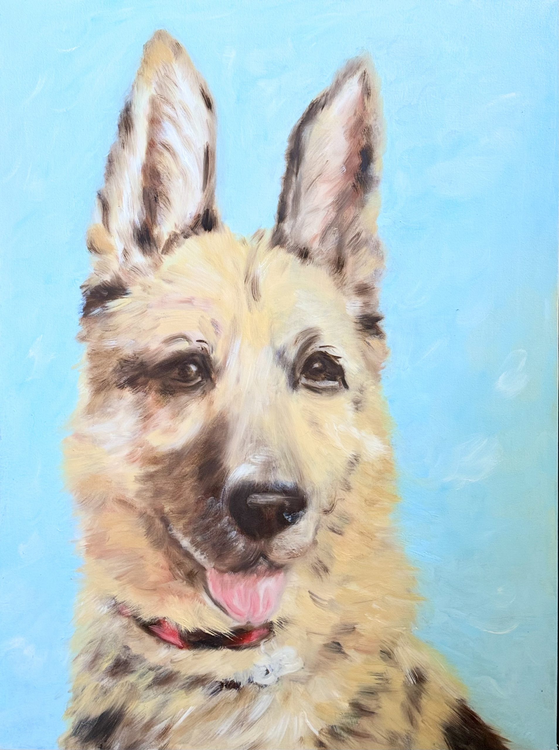 Adopt a pet in Sonoma